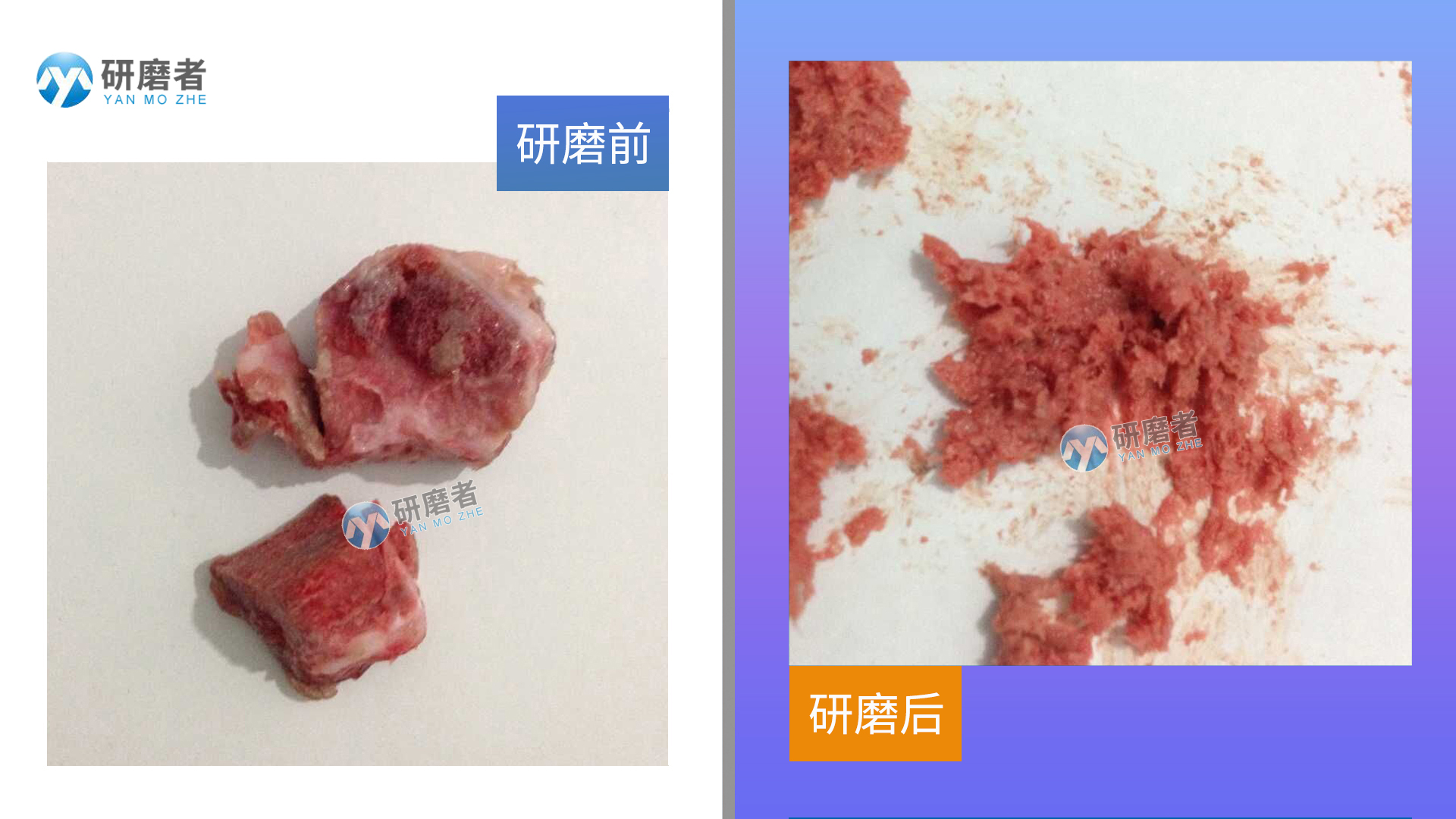 冷凍組織研磨儀研磨圖