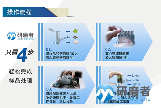 研磨珠均質(zhì)器